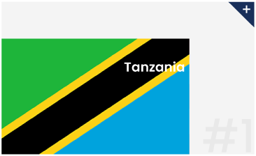 Tanzania Flag